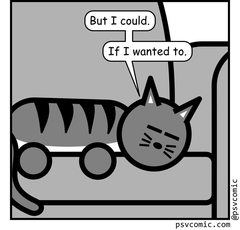 Panel 4